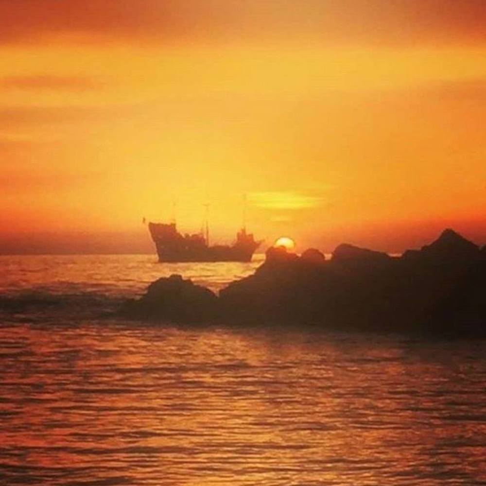 Meet your Posher, Armand